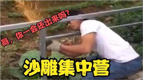 这群人搞笑视频,笑料横生！这群人的搞笑视频集锦